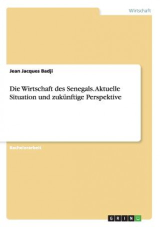 Kniha Wirtschaft des Senegals. Aktuelle Situation und zukunftige Perspektive Jean Jacques Badji