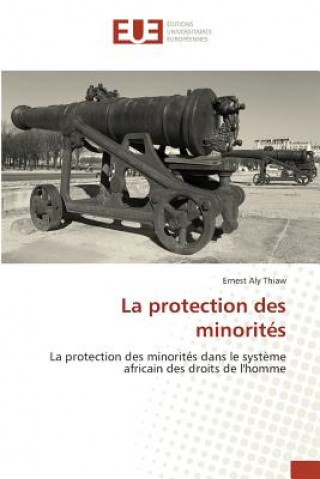 Carte La Protection Des Minorit s Thiaw-E
