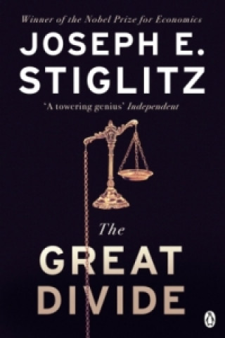 Kniha Great Divide Joseph Stiglitz