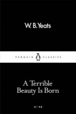 Könyv Terrible Beauty Is Born W B Yeats