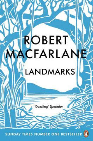 Kniha Landmarks Robert Macfarlane