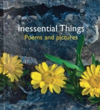 Kniha Inessential Things Helen Bate