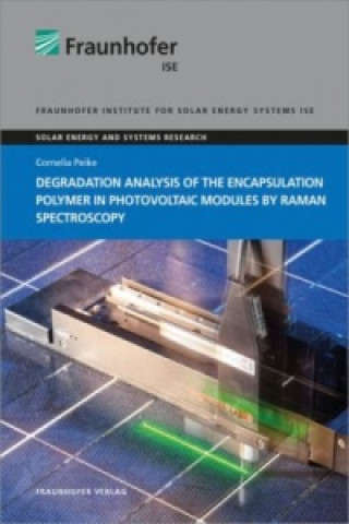 Carte Degradation Analysis of the Encapsulation Polymer in Photovoltaic Modules by Raman Spectroscopy. Cornelia Peike