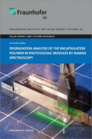 Book Degradation Analysis of the Encapsulation Polymer in Photovoltaic Modules by Raman Spectroscopy. Cornelia Peike