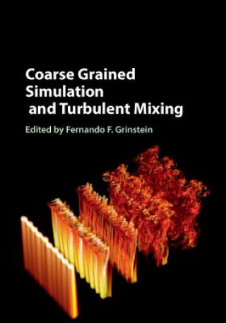 Książka Coarse Grained Simulation and Turbulent Mixing Fernando F. Grinstein