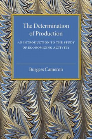 Kniha Determination of Production Burgess Cameron