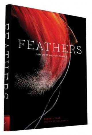 Book Feathers Robert Clark