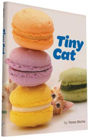 Kniha Tiny Cat Yoneo Morita