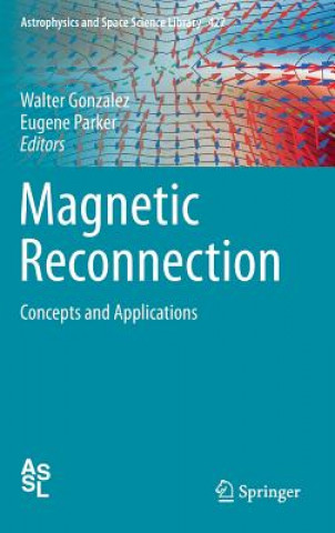 Livre Magnetic Reconnection Walter Gonzalez