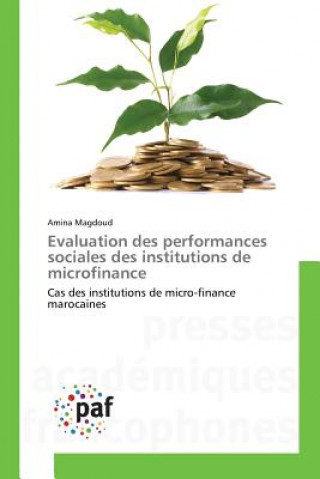 Kniha Evaluation Des Performances Sociales Des Institutions de Microfinance Magdoud-A