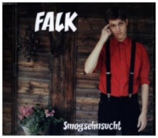 Audio Smogsehnsucht, 1 Audio-CD Falk