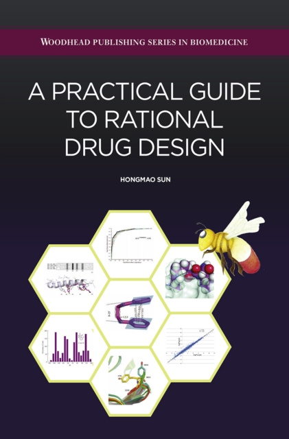 E-knjiga Practical Guide to Rational Drug Design Sun Hongmao