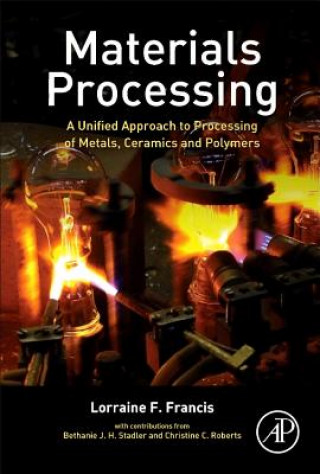 Kniha Materials Processing Lorraine Francis