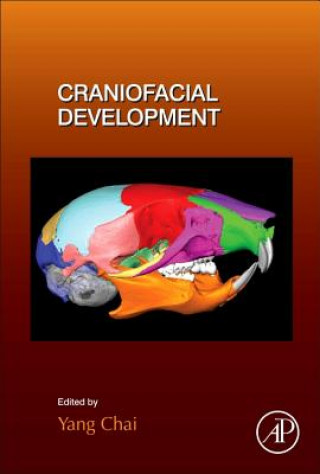 Książka Craniofacial Development Yang Chai