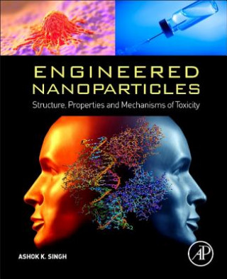 Kniha Engineered Nanoparticles Ashok Singh