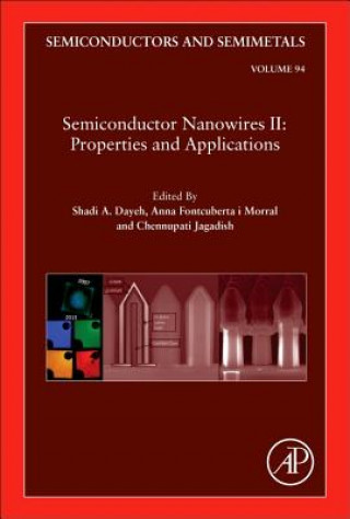 Book Semiconductor Nanowires II: Properties and Applications Shadi Dayeh