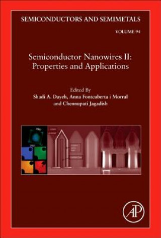 Livre Semiconductor Nanowires II: Properties and Applications Shadi Dayeh