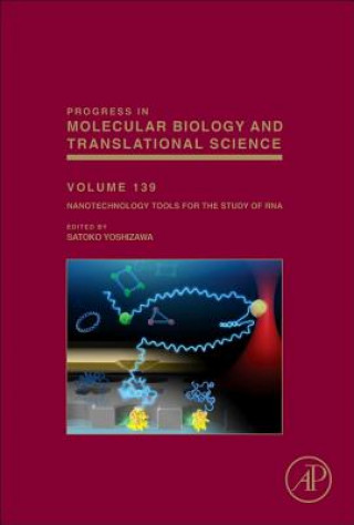 Książka Nanotechnology Tools for the Study of RNA Satoko Yoshizawa