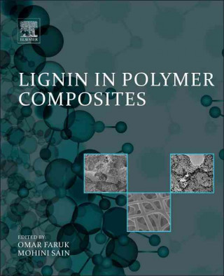 E-book Lignin in Polymer Composites Omar Faruk
