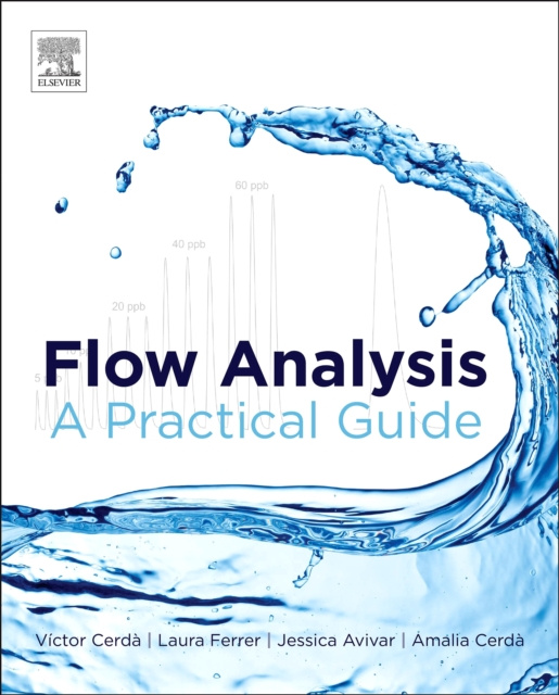 E-book Flow Analysis Victor Cerda
