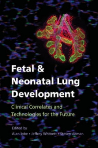 Buch Fetal and Neonatal Lung Development Alan Jobe