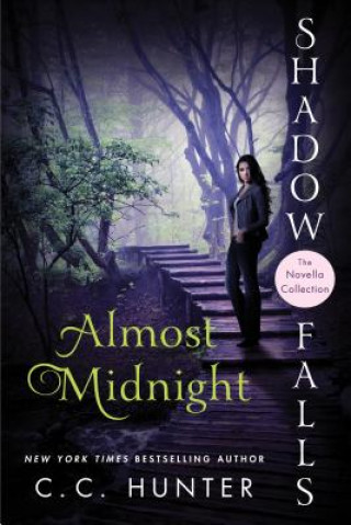 Book Almost Midnight C. C. Hunter