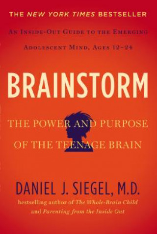 Carte Brainstorm Siegel