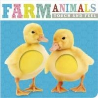 Kniha Farm Animals 