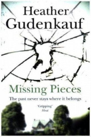 Knjiga Missing Pieces Heather Gudenkauf