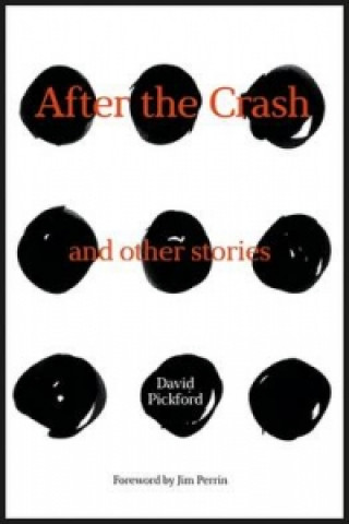 Kniha After the Crash David Pickford