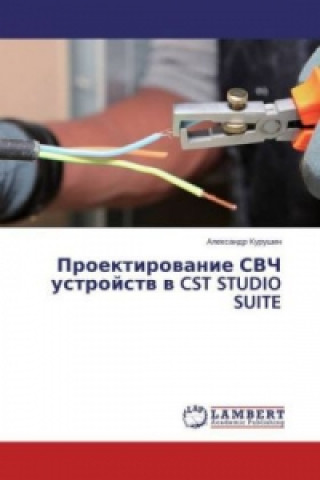 Kniha Proektirovanie SVCh ustrojstv v CST STUDIO SUITE Alexandr Kurushin