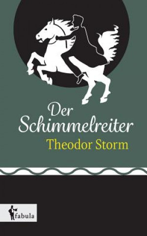 Książka Schimmelreiter Theodor Storm