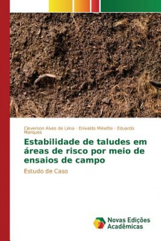 Kniha Estabilidade de taludes em areas de risco por meio de ensaios de campo Lima Cleverson Alves De