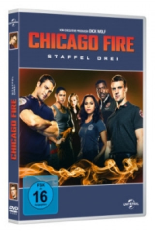 Video Chicago Fire. Staffel.3, 6 DVD Taylor Kinney