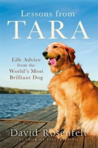 Livre Lessons from Tara David Rosenfelt