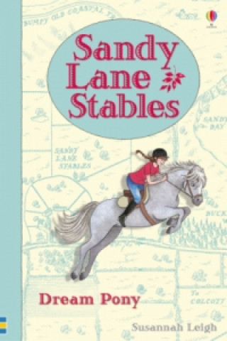 Carte Sandy Lane Stables Dream Pony Susannah Leigh