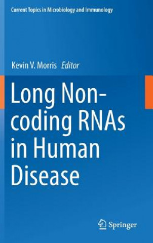 Könyv Long Non-coding RNAs in Human Disease Kevin V. Morris