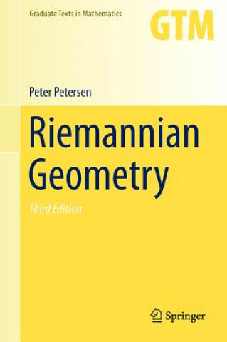Kniha Riemannian Geometry Peter Petersen