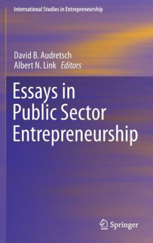 Könyv Essays in Public Sector Entrepreneurship David Audretsch