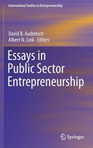 Kniha Essays in Public Sector Entrepreneurship David Audretsch