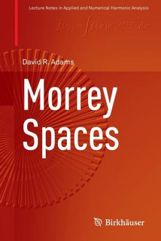 Book Morrey Spaces David Adams