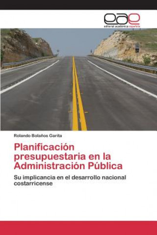 Könyv Planificacion presupuestaria en la Administracion Publica Bolanos Garita Rolando