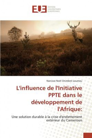 Kniha L'Influence de l'Initiative Ppte Dans Le Developpement de l'Afrique Loumou-N