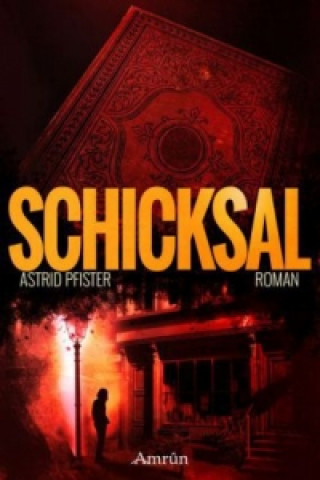 Livre Schicksal Astrid Pfister