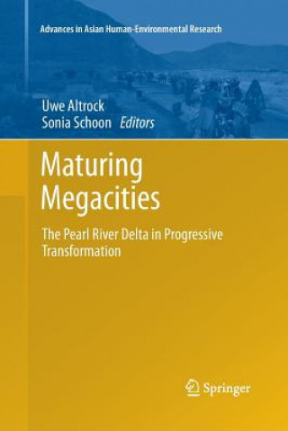 Carte Maturing Megacities Uwe Altrock