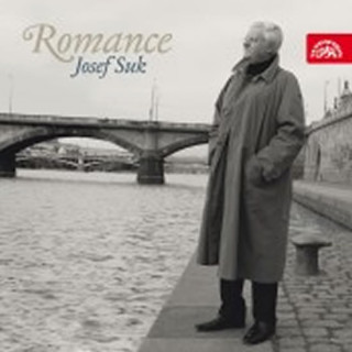 Audio Suk / Dvořák / Beethoven .../ Romance - CD interpreti Různí