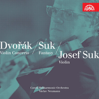 Audio Dvořák, Suk: Houslový koncert, Romance - Fantasie, Pohádky - CD interpreti Různí