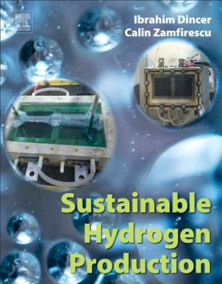 Knjiga Sustainable Hydrogen Production Ibrahim Dincer