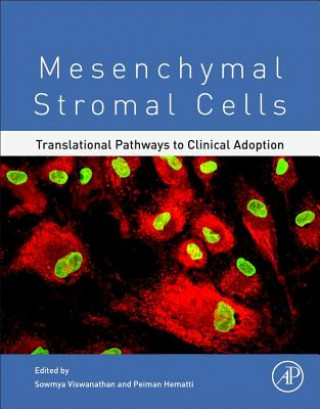 Kniha Mesenchymal Stromal Cells Hematti Peiman