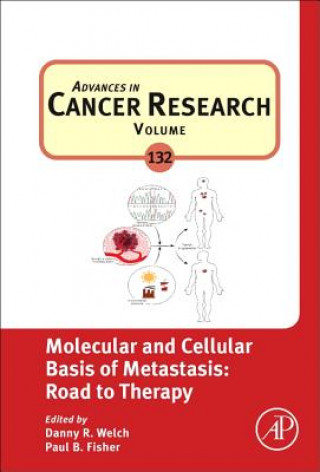 Könyv Molecular and Cellular Basis of Metastasis: Road to Therapy Danny R. Welch